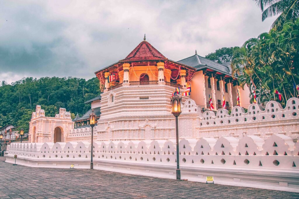 chathura-anuradha-subasinghe-40uQmE9Zq8g-unsplash-1024x683.jpg